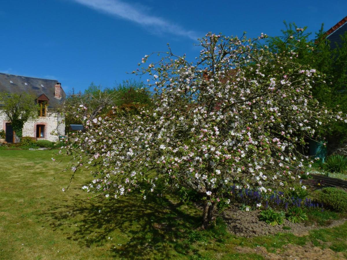 Een Prachtige Gite In Frankrijk Chez Gerard Vieilleville Eksteriør billede